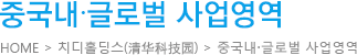 중국내/글로벌 사업영역