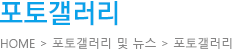 포토갤러리